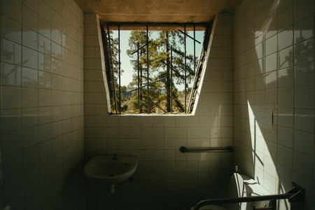 Bathroom in the forest