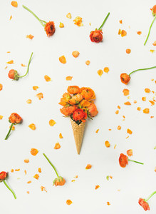Waffle cone with orange buttercup flowers over white background