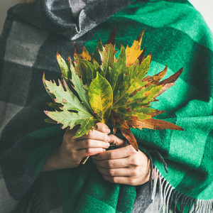 Woman in scarf or blanket with Autumn leaves  square crop