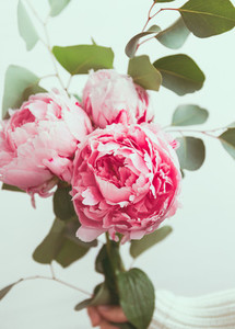 Girl holds beautiful bouquet from pink peonies  The concept of celebration and love