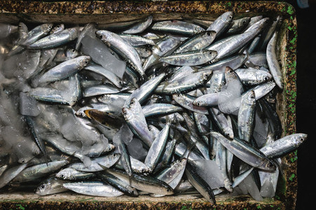Aerial shot of fish at market
