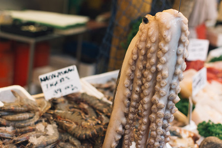 Hanging octopus at fish market