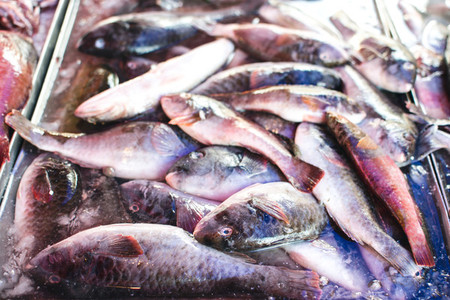 Small fish at fish market