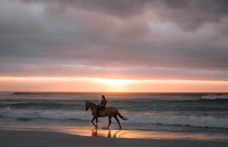 Woman riding horse on the beach in evening