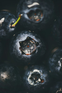 Flat lay of wet dark forest blueberries  top view  vertical composition