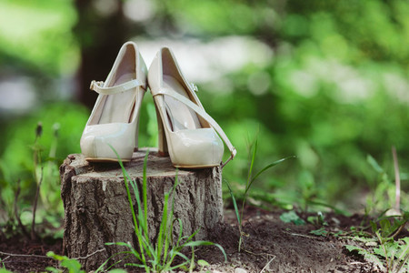 Picture of female white wedding shoes