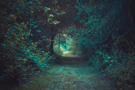 green path