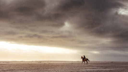 Woman riding with her stallion on the beach