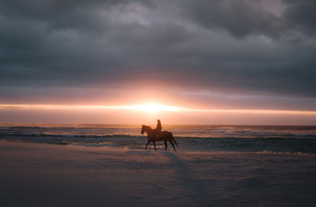 Horse riding at sunset on the beach