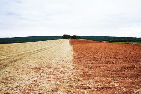 Agriculture field in Burgos after harvest