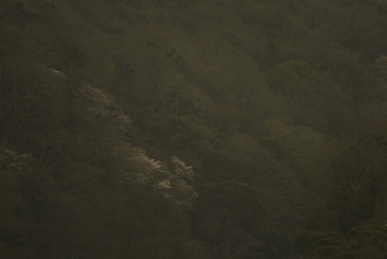 Boat on tranquil river #01