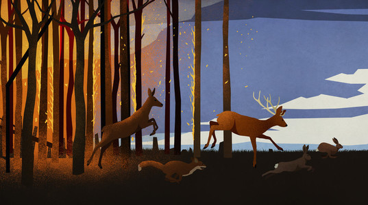 Forest animals running from forest fire at night 01