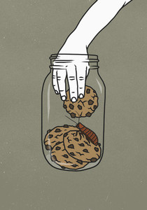 Hand reaching into cookie jar with cockroach 01