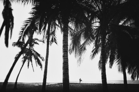 Surfer with surfboard under tall palm trees on tropical ocean beach 01