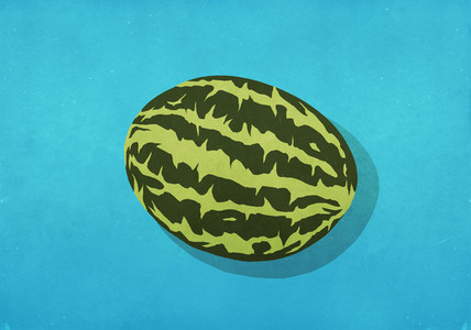 Whole watermelon on blue background 01