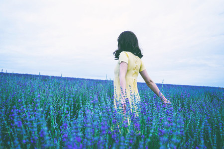 Back view of a young woman in a field of lavender