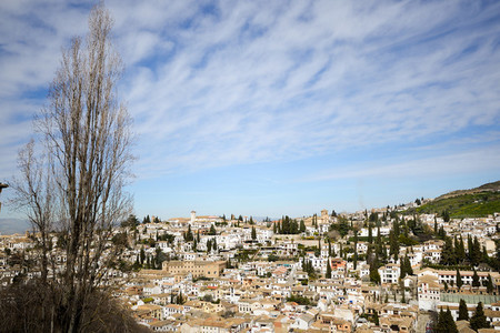 Albaicin seen from the Alhambra in Granada  Andalusia  Spain