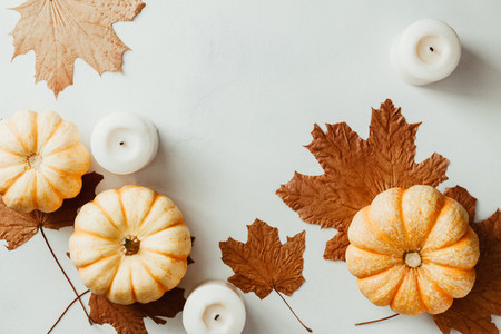 Autumn flat lay with small pumpkins on a white background The concept of October  mockup top view