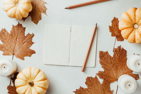 Autumn flat lay with small pumpkins fall maple leaves and blank paper notebook on a white background The concept of september and school mockup