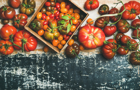 Flat  lay of fresh colorful ripe tomatoes over rustic background