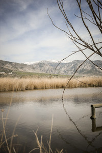 Wetlands with marsh vegetation in Padul Granada Andalusia