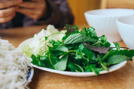 Vietnamese perilla herb