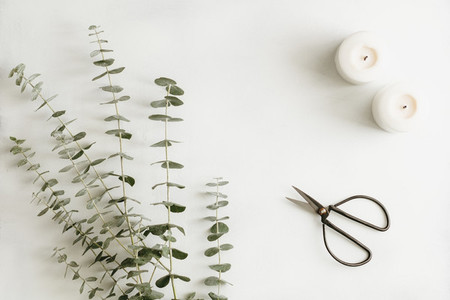 Creating of a bouquet with baby blue eucalyptus branch among white candles on a table The concept of a florist work or celebration  Top view flat lay