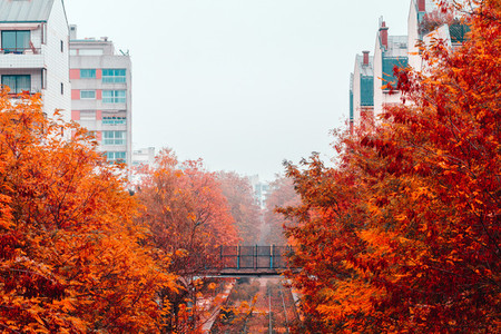 Autumn foggy view of the rails track and the bridge over them in a residential area of Paris on a rainy day