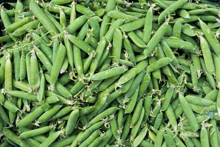 Sweet green peas aerial