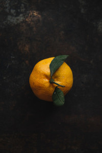 Tangerine 3