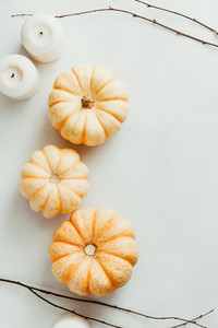 Top view of small pumpkins on a white background  The concept of Thanksgiving and Fall time