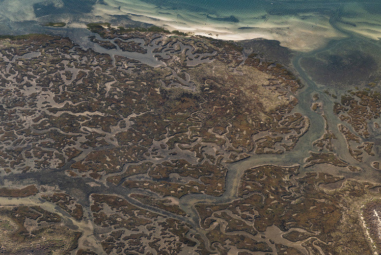 Aerial view algae along coastline, Faro, Algarve, Portugal
