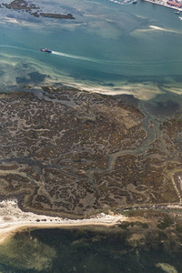 Aerial view algae along coastline  Faro  Algarve  Portugal