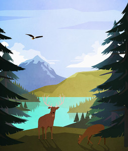 Bald eagle and deer at idyllic  remote lakeside