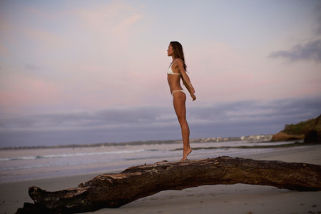 Carefree woman in bikini standing on driftwood on beach at dusk