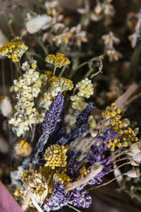 Close up dried chamomile and lavender bunch