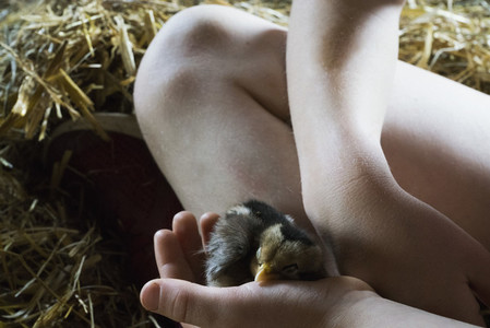Close up girl holding baby chick