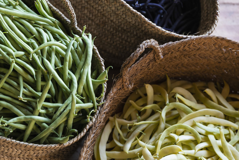 Fresh harvested variety of yellow, green and purple beans in straw baskets