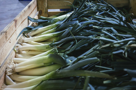 Organic harvested leeks in wooden crate