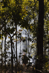 Preventative patch burning fire in tropical forest  Kakadu National Park  Australia