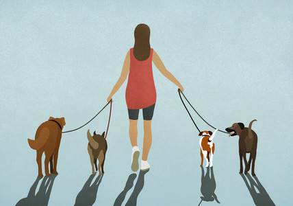 Woman walking four dogs on leashes