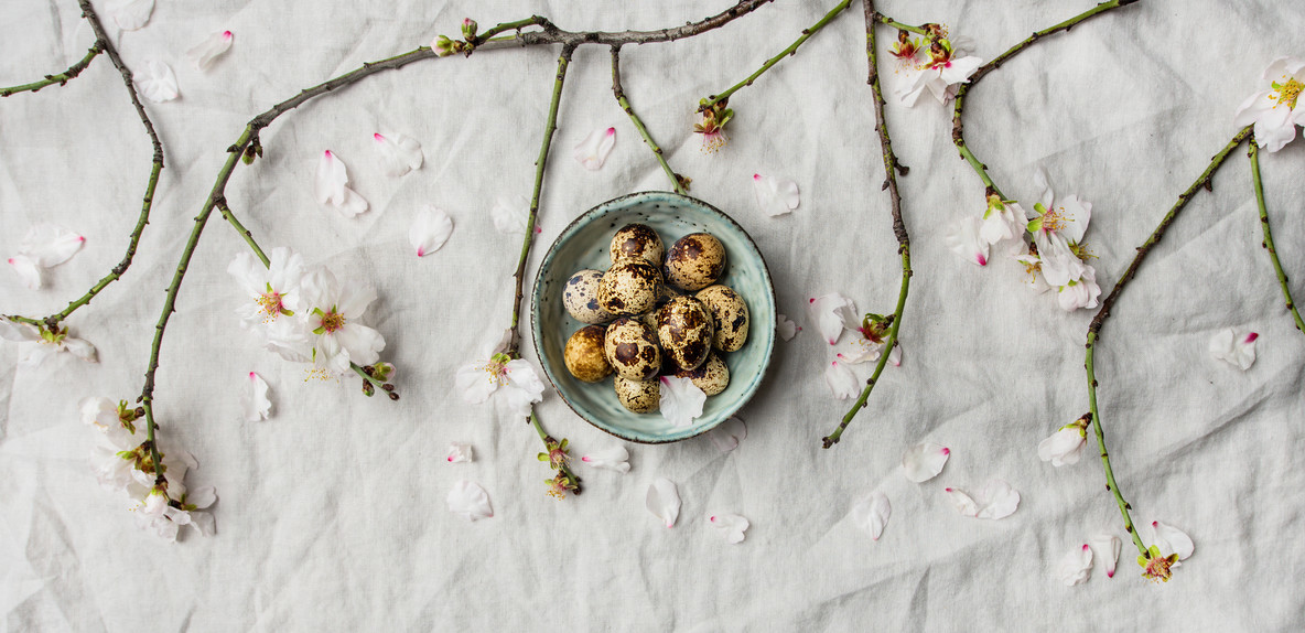 Easter holiday flat lay with quail eggs and almond tree branches