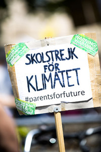 Fridays for future   global climate strike on the European elect
