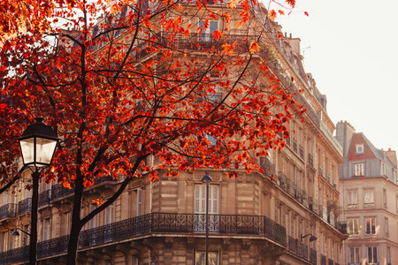 View through orange foliage on a house in Paris  France  The concept of Autumn time and October
