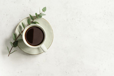 Cup of black coffee on a white textured table with a branch of eucalyptus  Top view  minimalist style  copy space