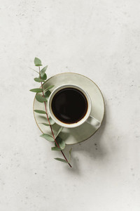 Cup of black coffee on a white textured table with a branch of eucalyptus  Top view  minimalism style