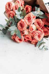 Coral roses beautiful spring bouquet on a white background  The concept of greetings and wedding  Copy space