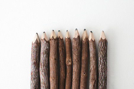 Wooden Pencils from the Bottom