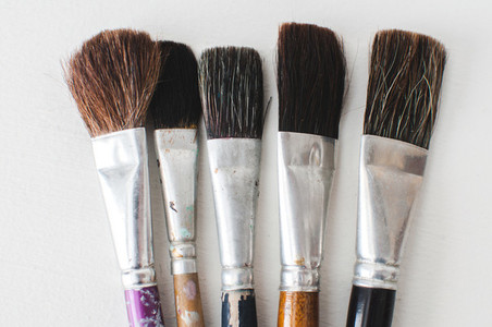 Old Paintbrush Collection Wide