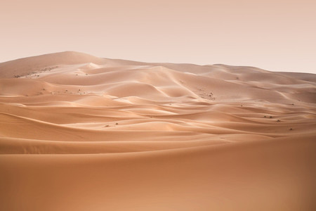 Sahara Desert  Morocco 04